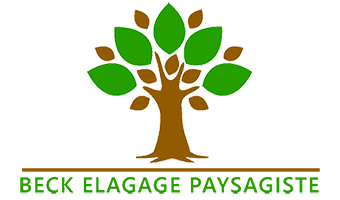 Beck Elagage